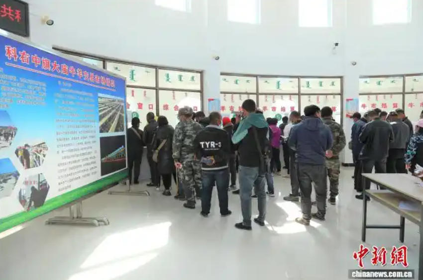 自治区农牧厅副厅长赵玉生在科右中旗调研牛产业发展和安全生产工作