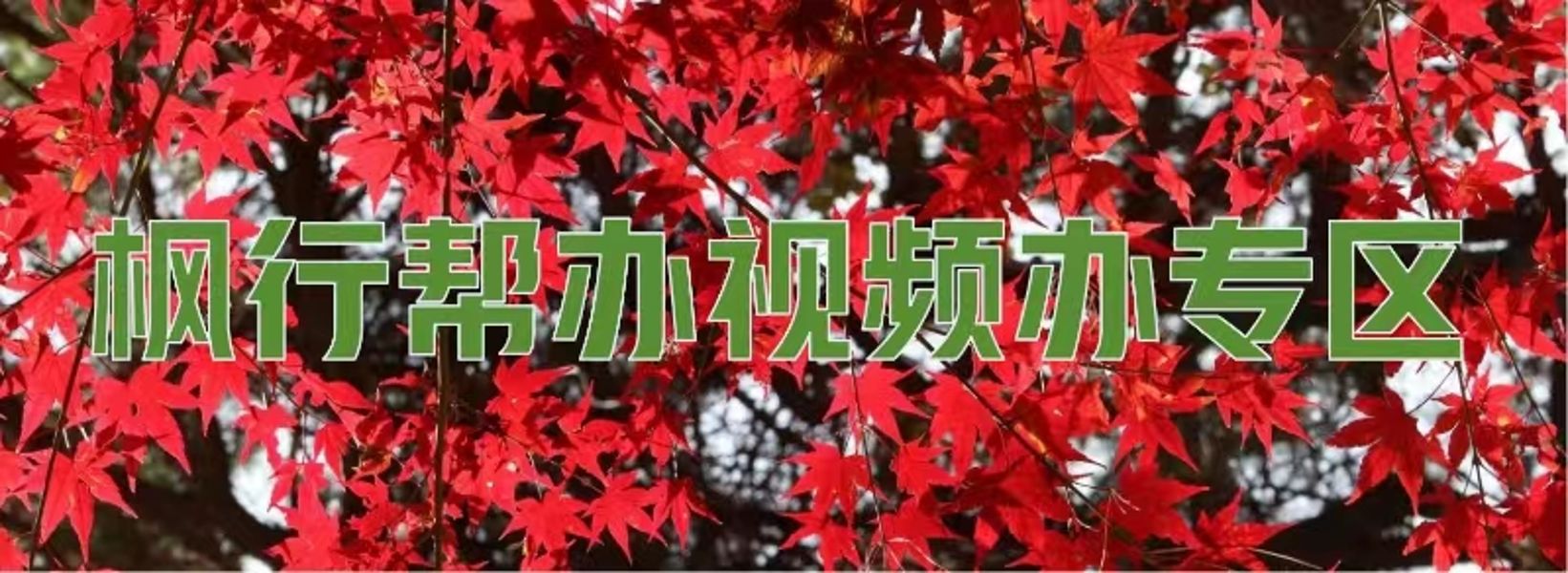 微信图片_20240308103746