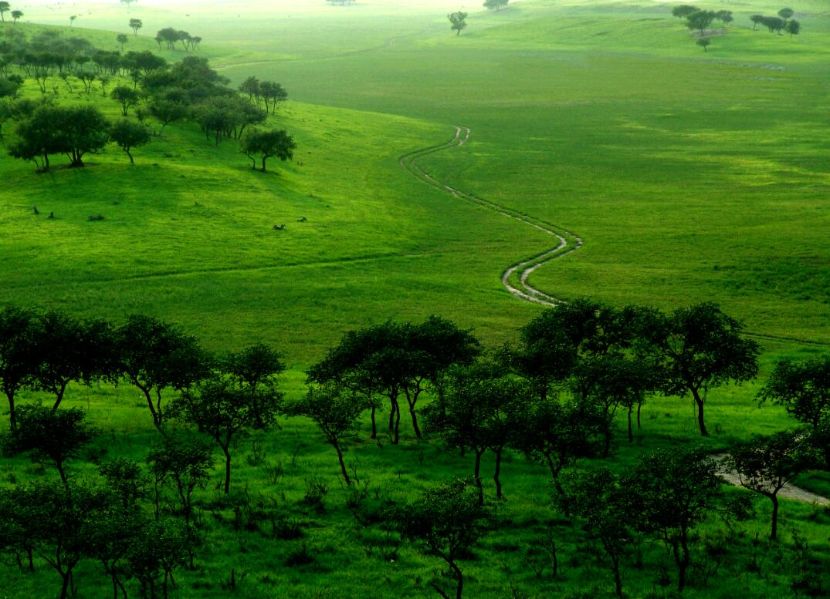 科尔沁国家级自然保护区