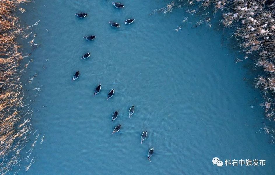 《温馨的家园》