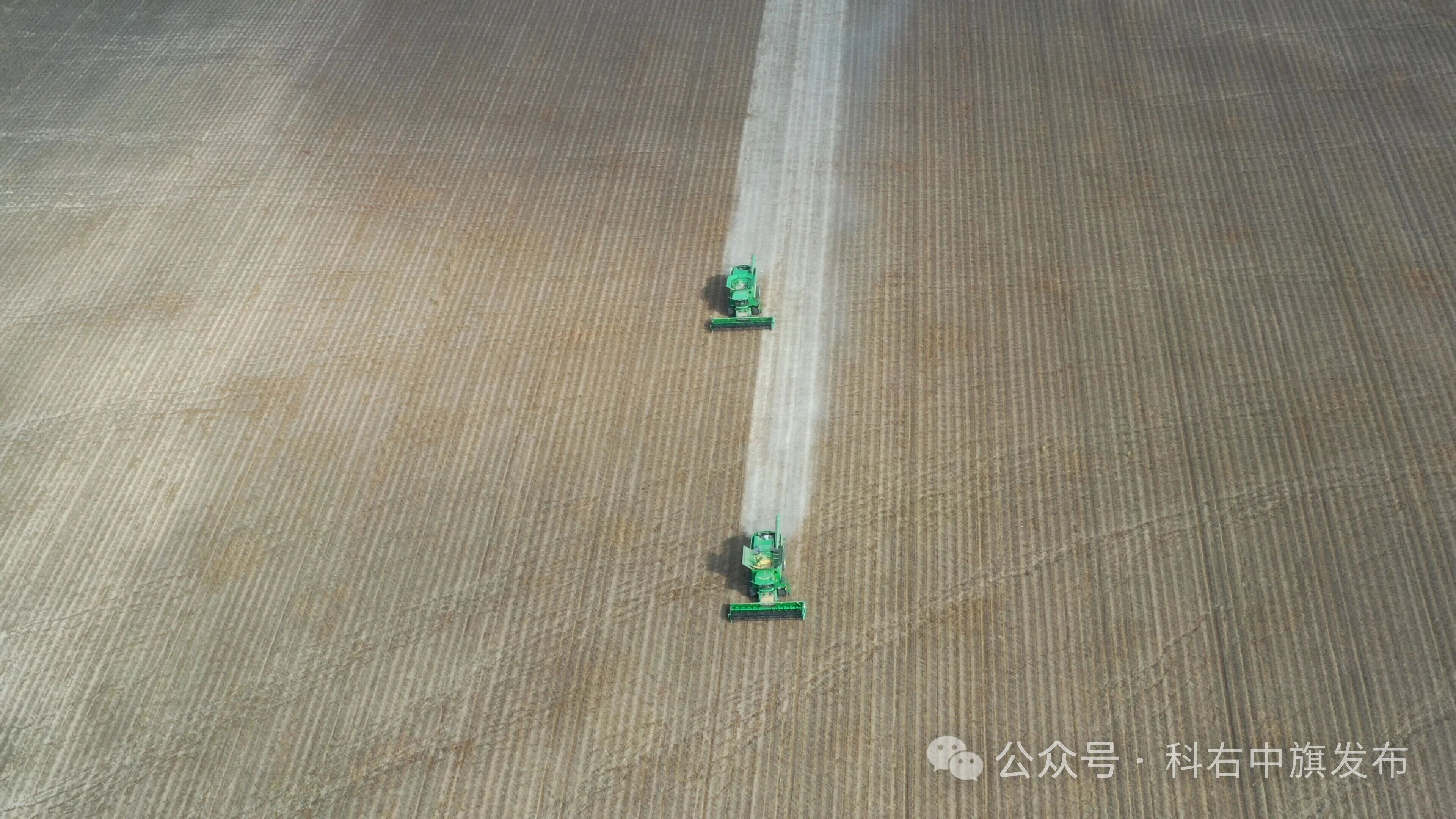 产量2万吨！吐列毛杜农场15万亩大豆喜获丰收