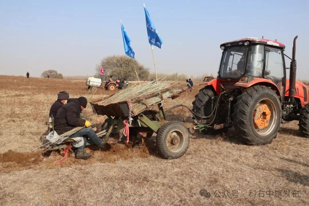 科右中旗2025年秋季造林工作全面启动